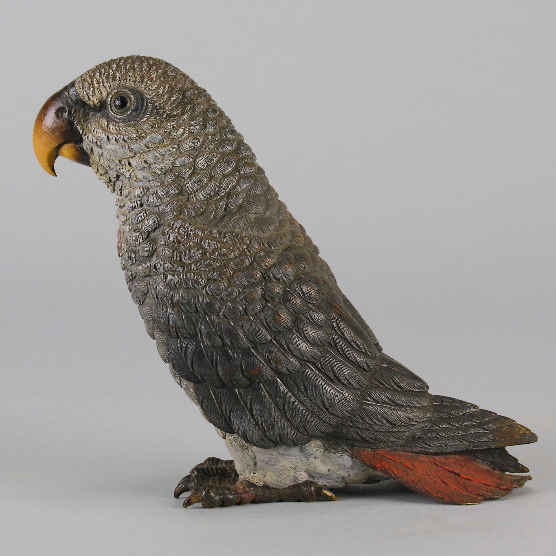 Austrian Bronze - Franz Bergman Grey Parrot - Hickmet Fine Arts