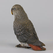 Austrian Bronze - Franz Bergman Grey Parrot - Hickmet Fine Arts