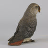 Austrian Bronze - Franz Bergman Grey Parrot - Hickmet Fine Arts