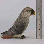 Austrian Bronze - Franz Bergman Grey Parrot - Hickmet Fine Arts