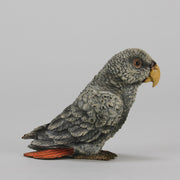 Bergman Parrot - Austrian Cold Painted Bronze - Hickmet Fine Arts