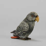 Bergman Parrot - Austrian Cold Painted Bronze - Hickmet Fine Arts
