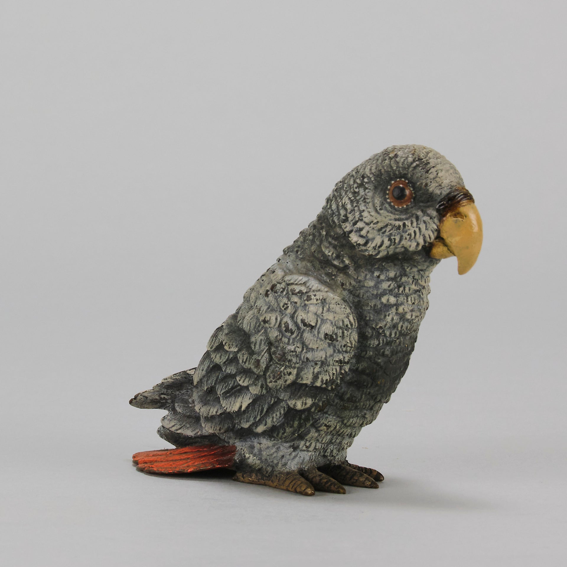 Bergman Parrot - Austrian Cold Painted Bronze - Hickmet Fine Arts