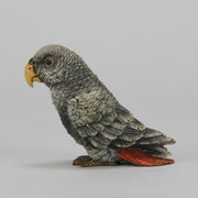 Bergman Parrot - Austrian Cold Painted Bronze - Hickmet Fine Arts