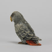Bergman Parrot - Austrian Cold Painted Bronze - Hickmet Fine Arts