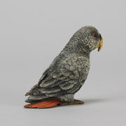 Bergman Parrot - Austrian Cold Painted Bronze - Hickmet Fine Arts