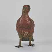 Bergman Bronze Grouse