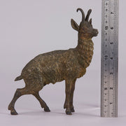Bergman Bronze Deer