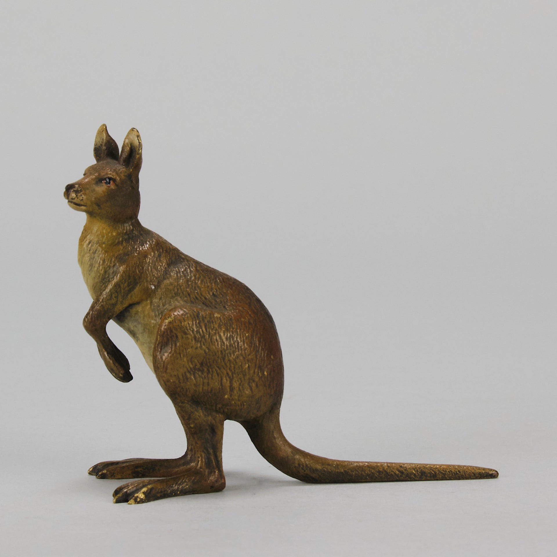 Kangaroo" by Franz Bergman a charming early 20th Century Austrian cold painted bronze study of a standing kangaroo with excellent naturalistic hand chased surface detail and fine colour