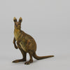 Kangaroo" by Franz Bergman a charming early 20th Century Austrian cold painted bronze study of a standing kangaroo with excellent naturalistic hand chased surface detail and fine colour