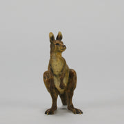 Kangaroo" by Franz Bergman a charming early 20th Century Austrian cold painted bronze study of a standing kangaroo with excellent naturalistic hand chased surface detail and fine colour
