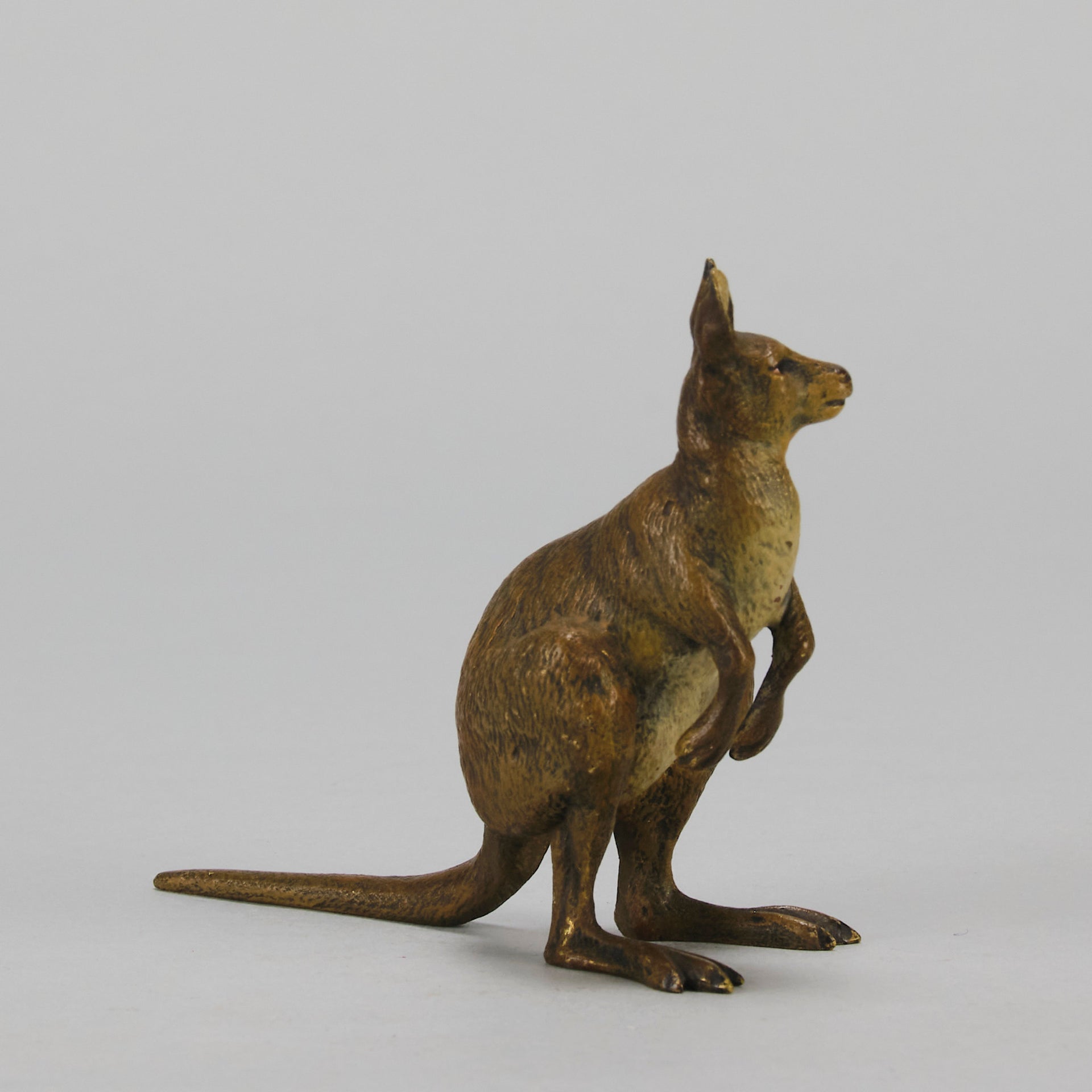 Kangaroo" by Franz Bergman a charming early 20th Century Austrian cold painted bronze study of a standing kangaroo with excellent naturalistic hand chased surface detail and fine colour