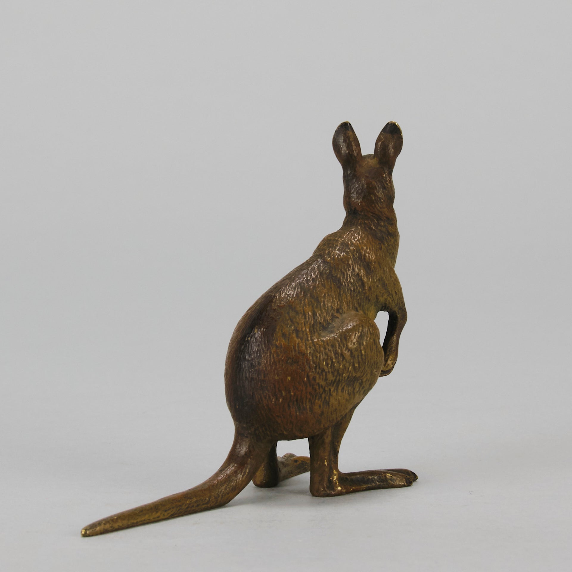 Kangaroo" by Franz Bergman a charming early 20th Century Austrian cold painted bronze study of a standing kangaroo with excellent naturalistic hand chased surface detail and fine colour