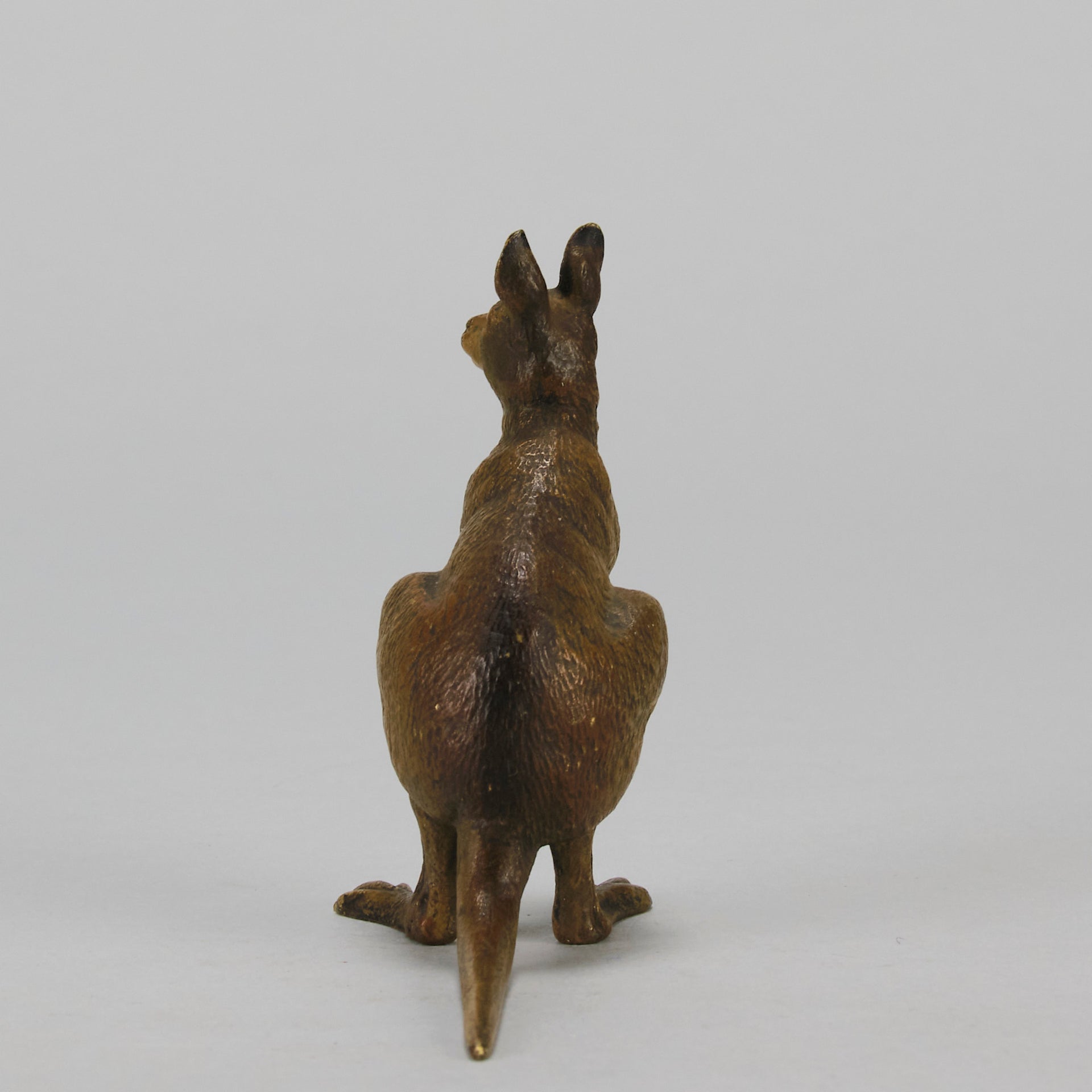 Kangaroo" by Franz Bergman a charming early 20th Century Austrian cold painted bronze study of a standing kangaroo with excellent naturalistic hand chased surface detail and fine colour