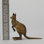 Kangaroo" by Franz Bergman a charming early 20th Century Austrian cold painted bronze study of a standing kangaroo with excellent naturalistic hand chased surface detail and fine colour