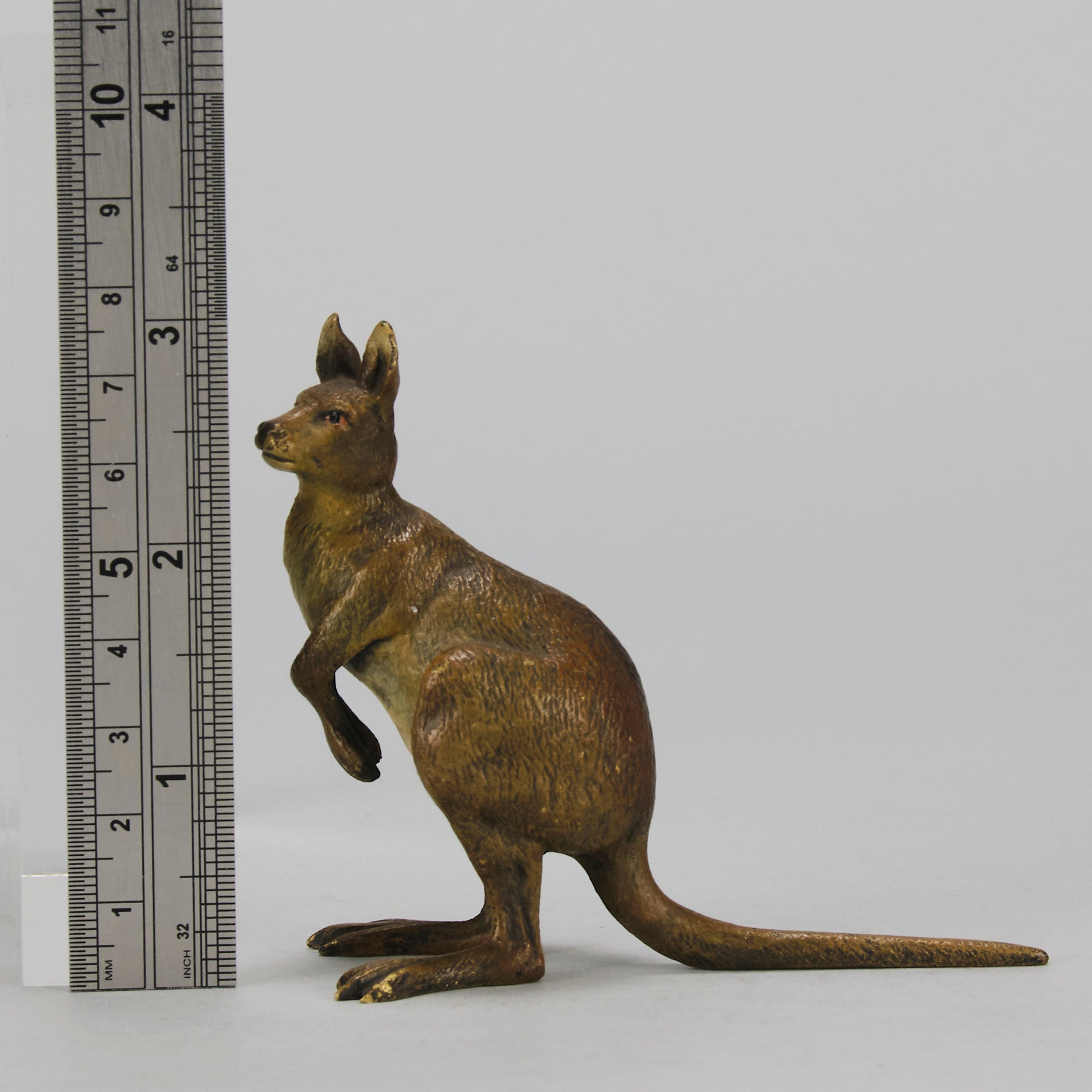 Kangaroo" by Franz Bergman a charming early 20th Century Austrian cold painted bronze study of a standing kangaroo with excellent naturalistic hand chased surface detail and fine colour