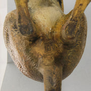 Kangaroo" by Franz Bergman a charming early 20th Century Austrian cold painted bronze study of a standing kangaroo with excellent naturalistic hand chased surface detail and fine colour