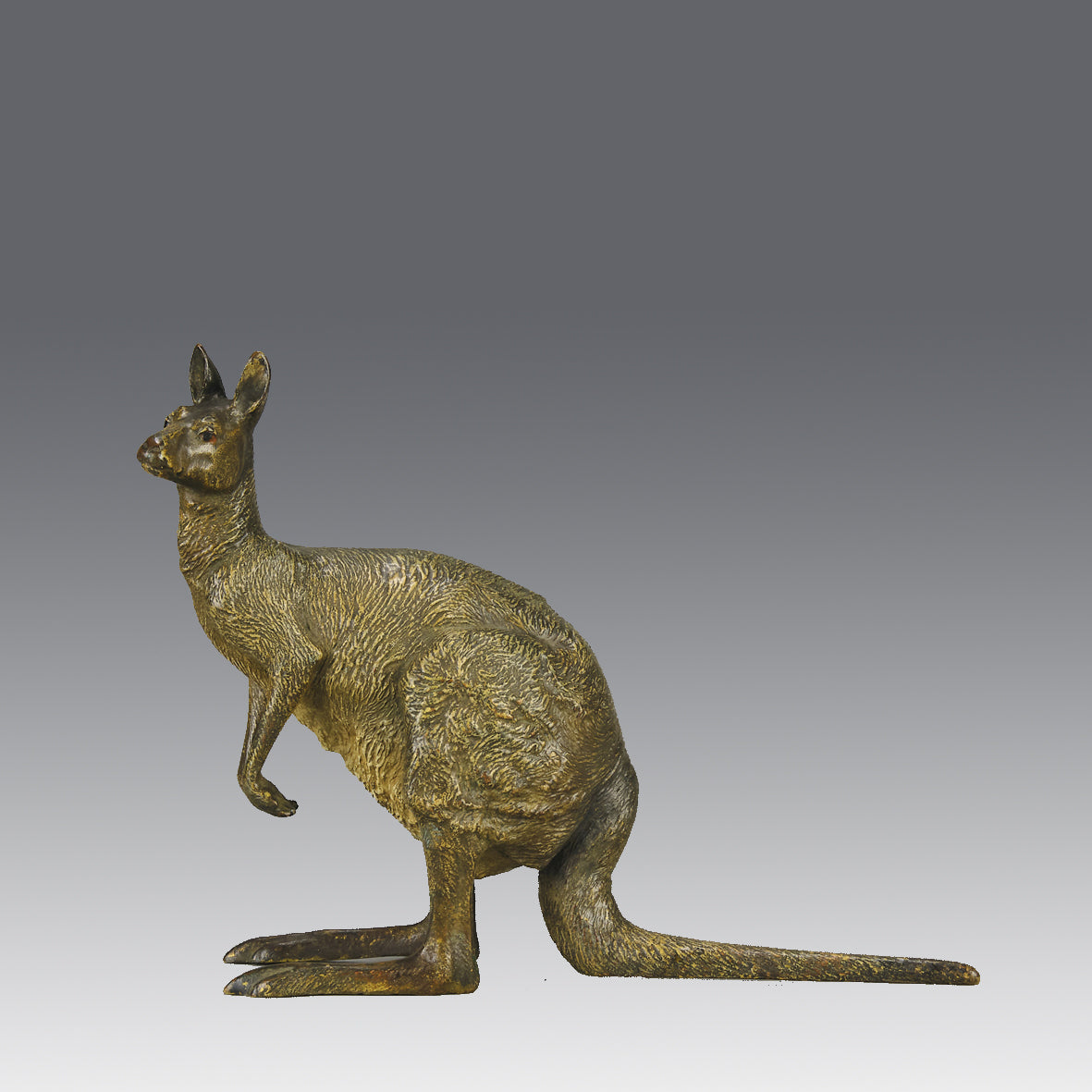 Kangaroo by Franz Bergman an early 20th Century Austrian bronze study of a standing Kangaroo with very fine hand chased surface detail and good naturalistic colour