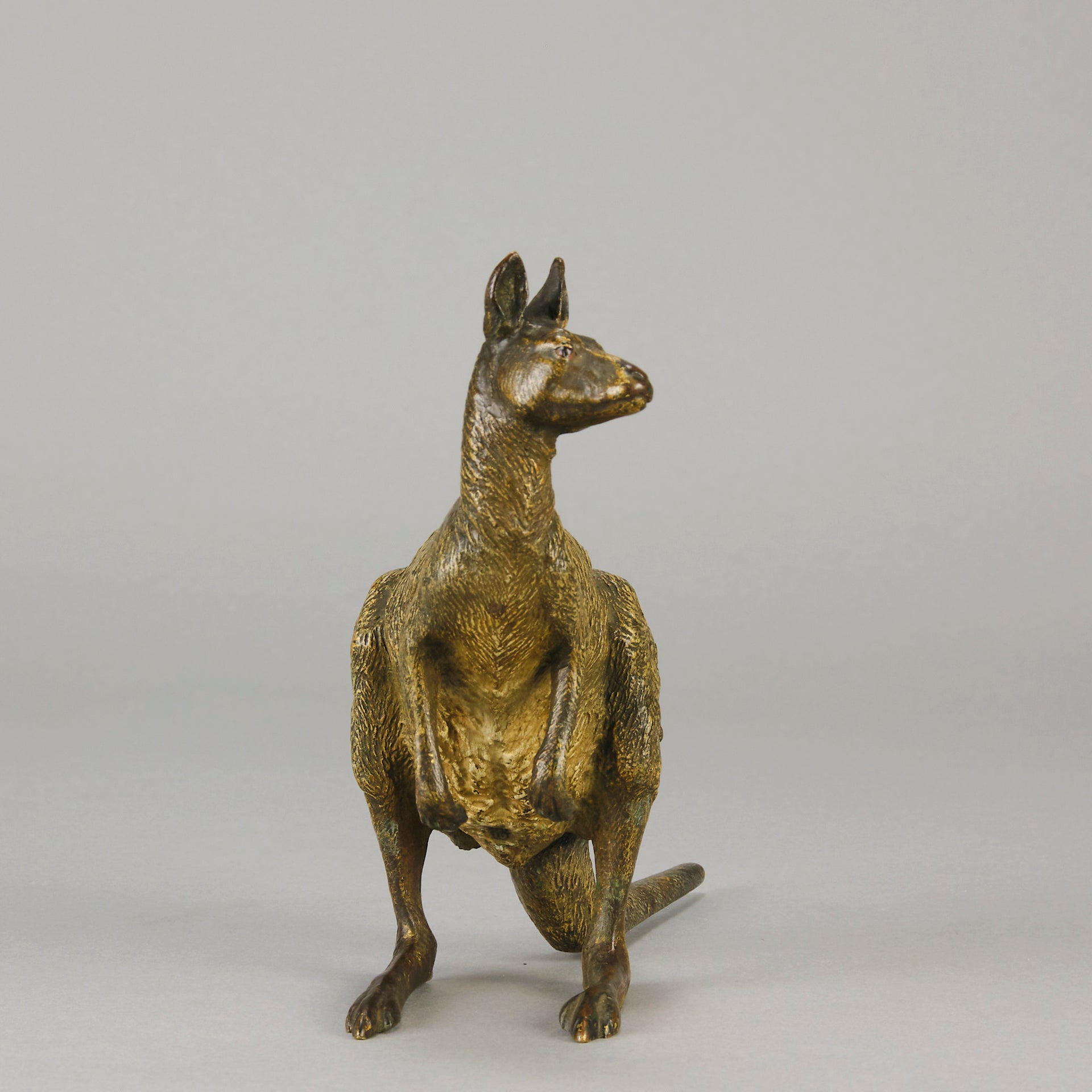 Kangaroo by Franz Bergman an early 20th Century Austrian bronze study of a standing Kangaroo with very fine hand chased surface detail and good naturalistic colour