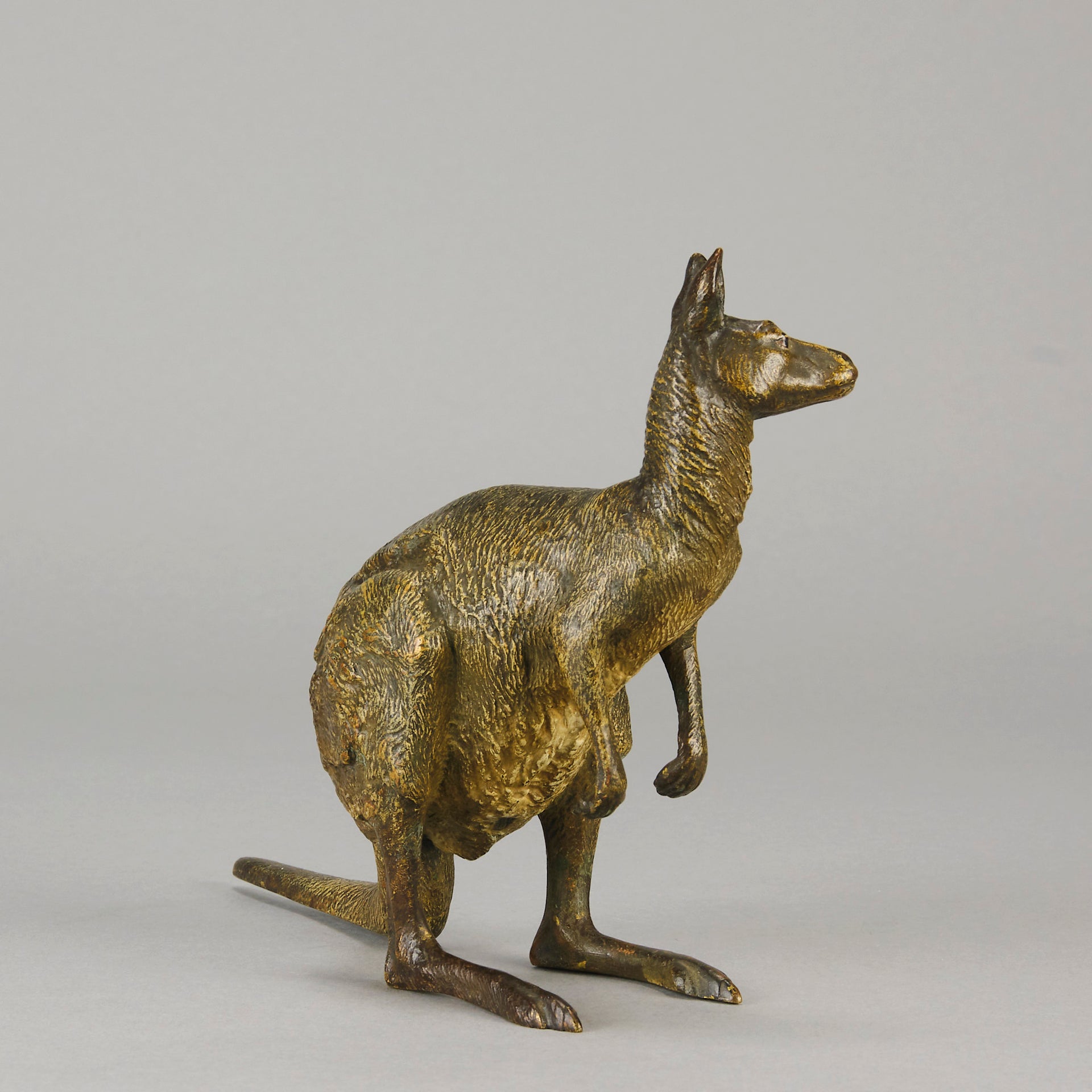 Kangaroo by Franz Bergman an early 20th Century Austrian bronze study of a standing Kangaroo with very fine hand chased surface detail and good naturalistic colour