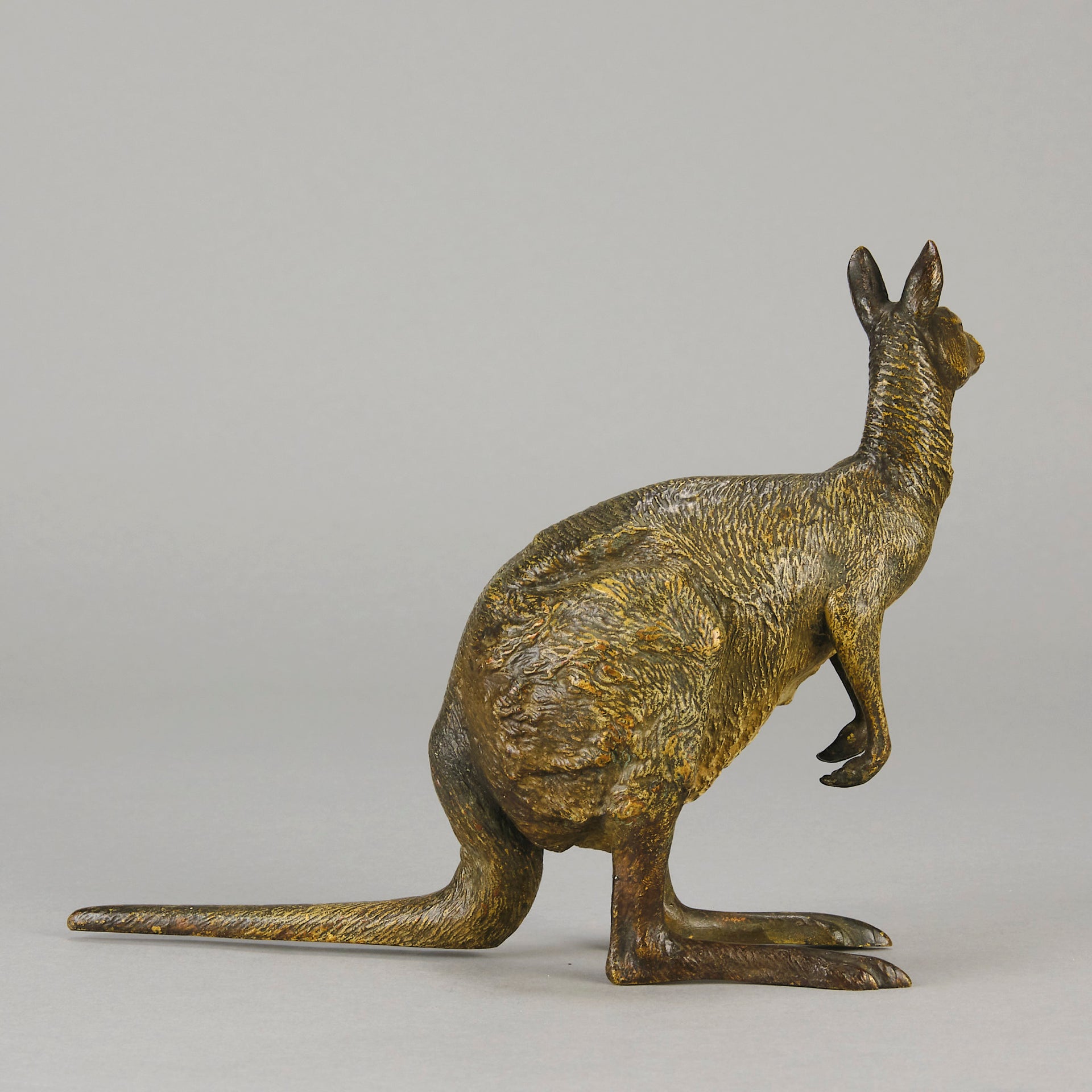 Kangaroo by Franz Bergman an early 20th Century Austrian bronze study of a standing Kangaroo with very fine hand chased surface detail and good naturalistic colour