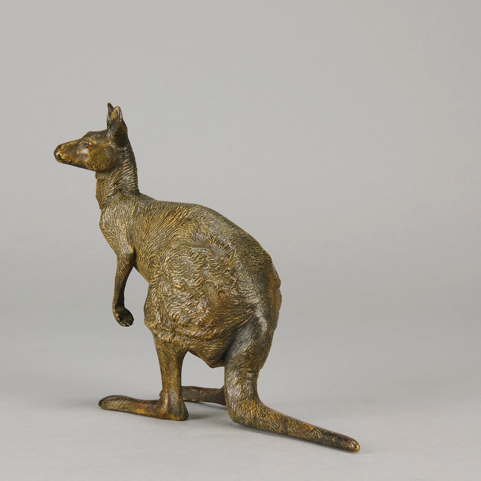 Kangaroo by Franz Bergman an early 20th Century Austrian bronze study of a standing Kangaroo with very fine hand chased surface detail and good naturalistic colour