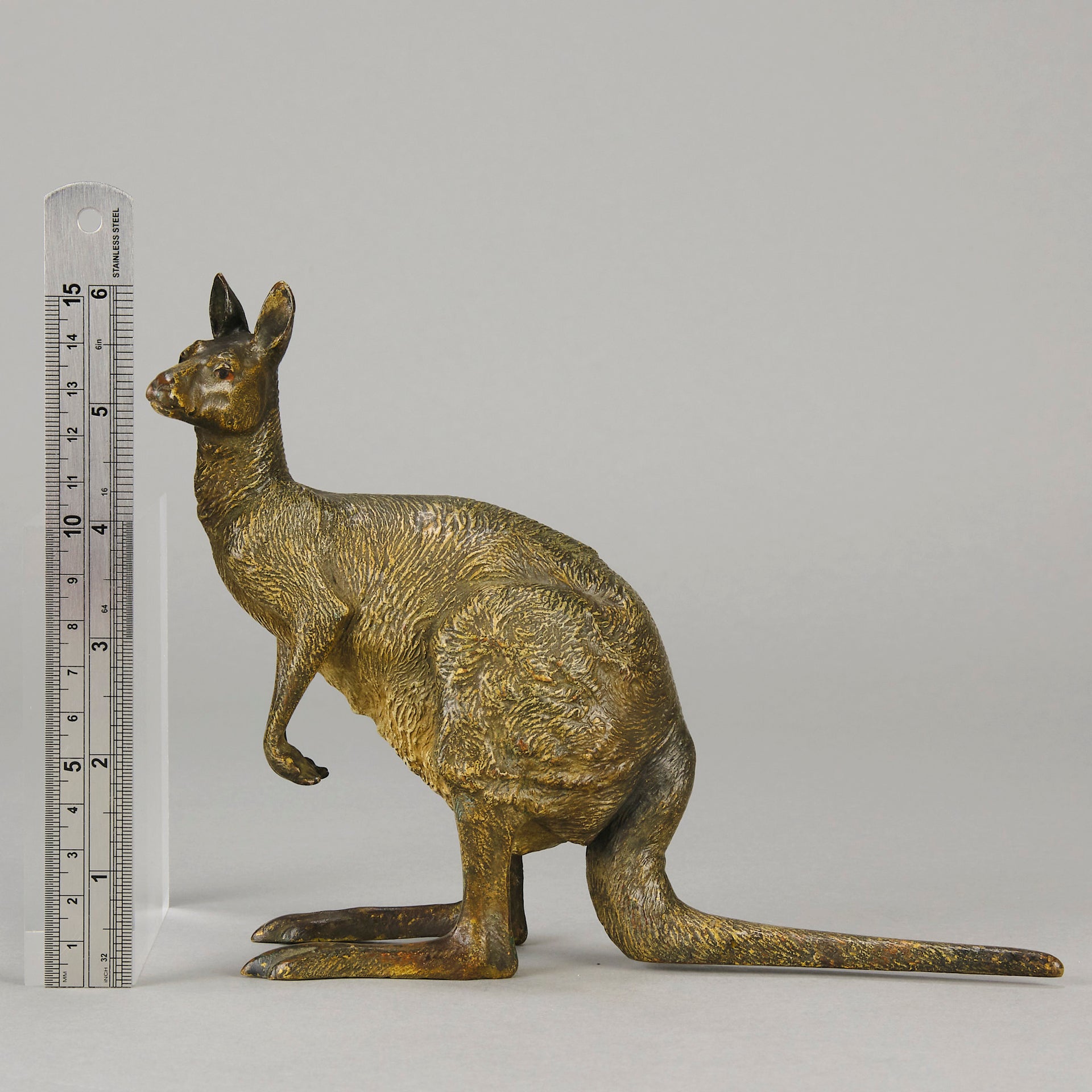 Kangaroo by Franz Bergman an early 20th Century Austrian bronze study of a standing Kangaroo with very fine hand chased surface detail and good naturalistic colour