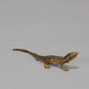 Antique Bronze walking Lizard by Franz Bergman ith very fine colours and good hand finished surface detail