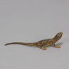 Antique Bronze walking Lizard by Franz Bergman ith very fine colours and good hand finished surface detail