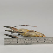 Lobster  - Bergman Bronze - A fabulous early 20th Century Austrian bronze study of a lobster - Hickmet Fine Arts