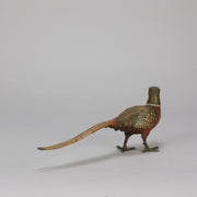 Antique Bronze Pheasant by Franz Bergman exhibiting very fine vibrant colours and good hand finished surface detail 