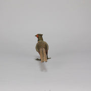 Antique Bronze Pheasant by Franz Bergman exhibiting very fine vibrant colours and good hand finished surface detail 