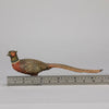 Antique Bronze Pheasant by Franz Bergman exhibiting very fine vibrant colours and good hand finished surface detail 