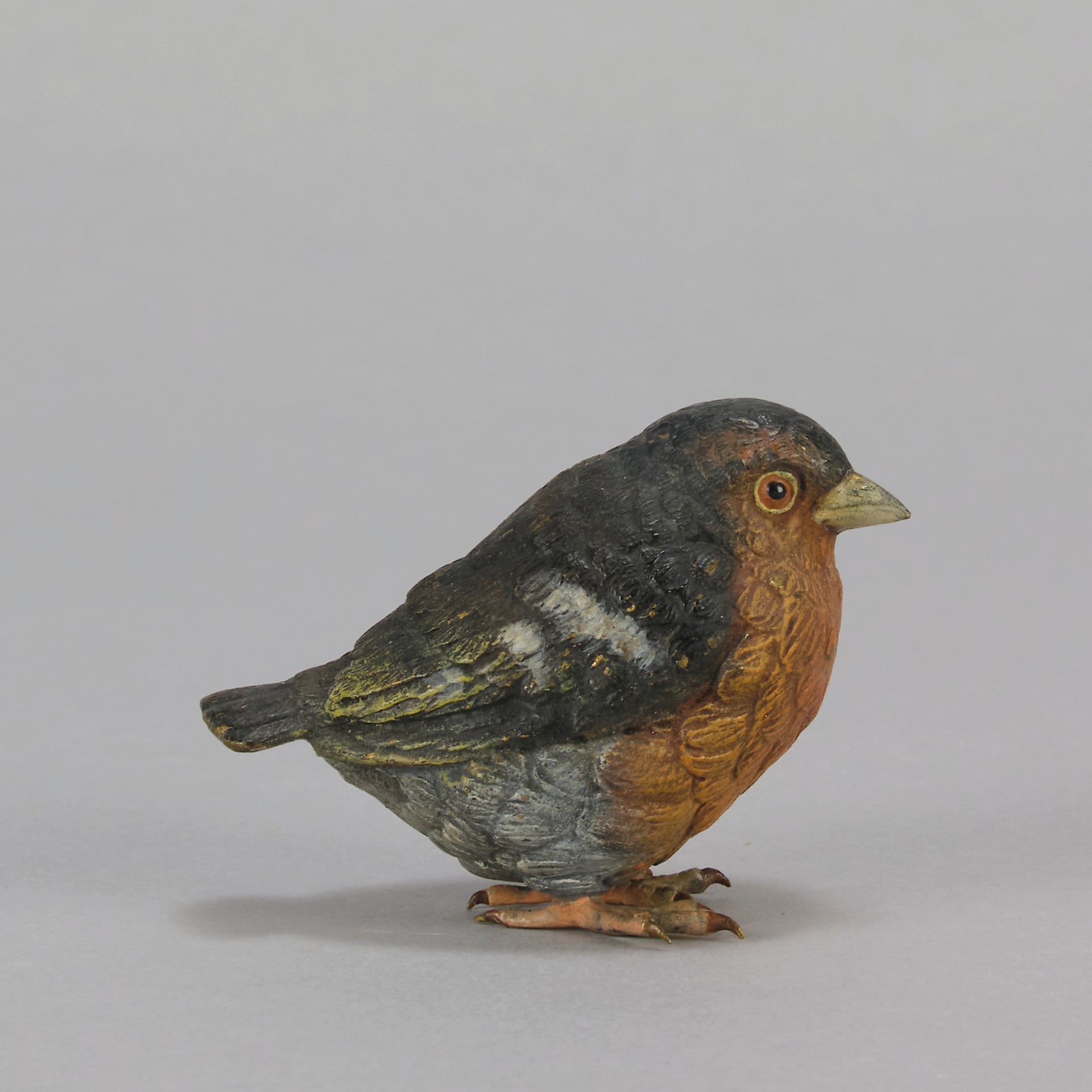 Bergman Robin - Austrian Cold Painted Bronze - Hickmet Fine Arts