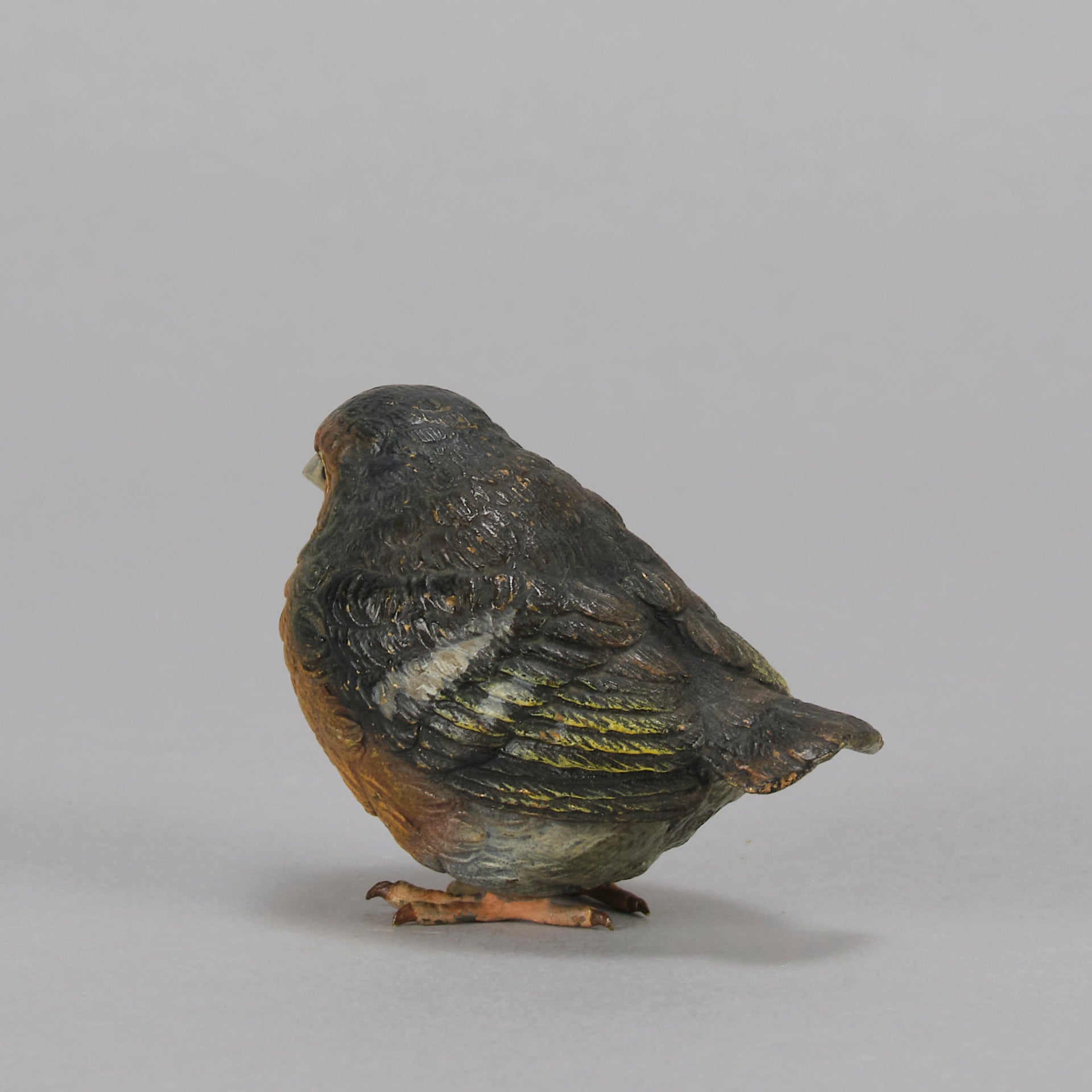 Bergman Robin - Austrian Cold Painted Bronze - Hickmet Fine Arts