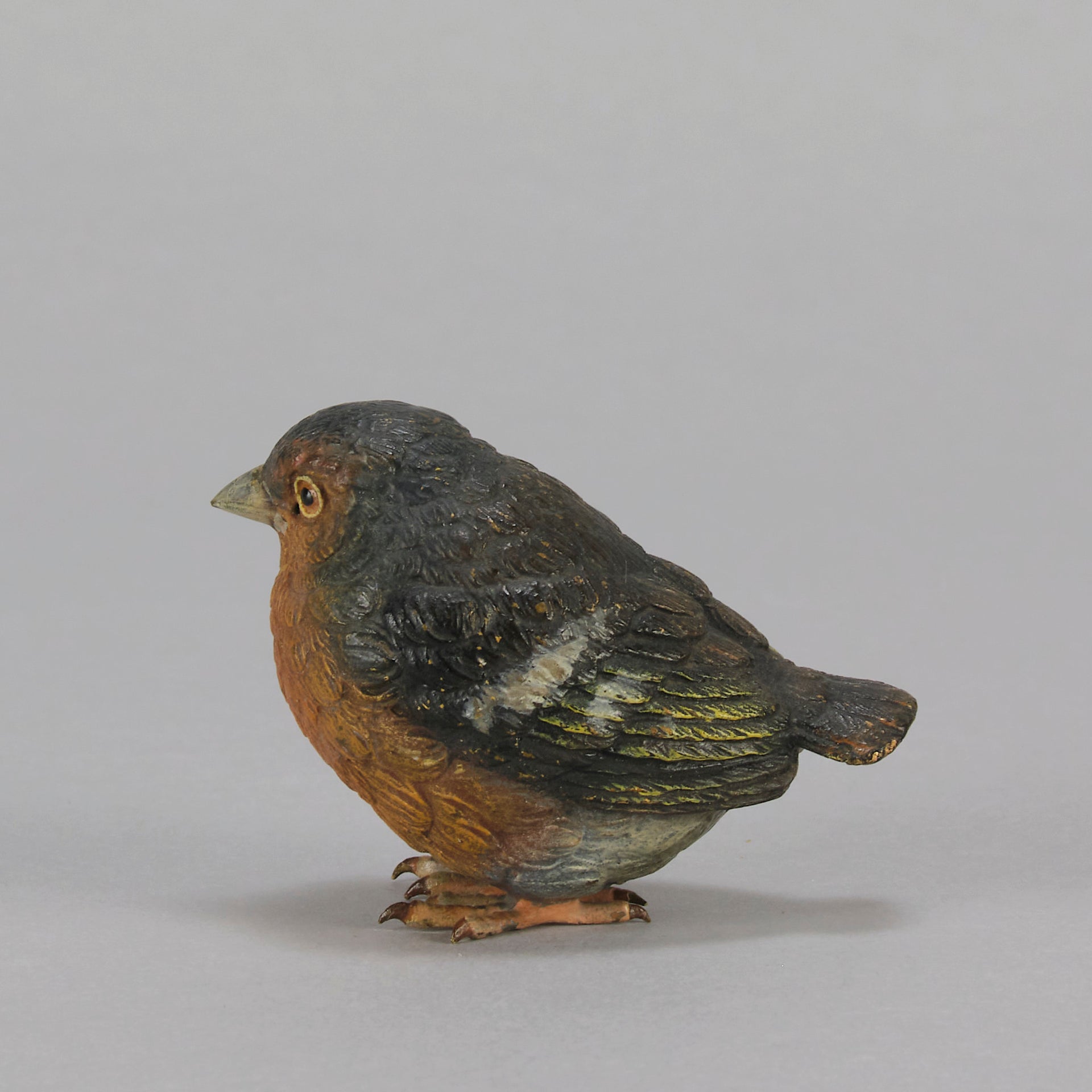 Bergman Robin - Austrian Cold Painted Bronze - Hickmet Fine Arts