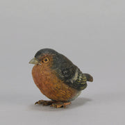 Bergman Robin - Austrian Cold Painted Bronze - Hickmet Fine Arts