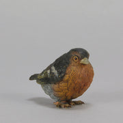 Bergman Robin - Austrian Cold Painted Bronze - Hickmet Fine Arts