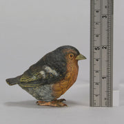 Bergman Robin - Austrian Cold Painted Bronze - Hickmet Fine Arts