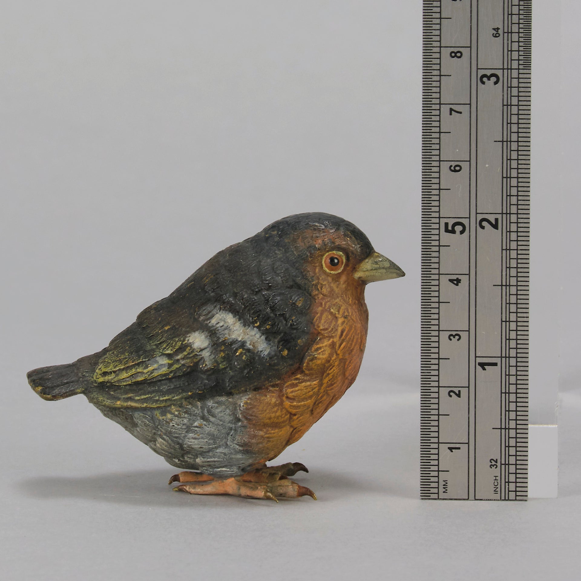 Bergman Robin - Austrian Cold Painted Bronze - Hickmet Fine Arts