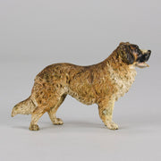 Bergman St Bernard - Franz Bergman Bronze - Hickmet Fine Arts