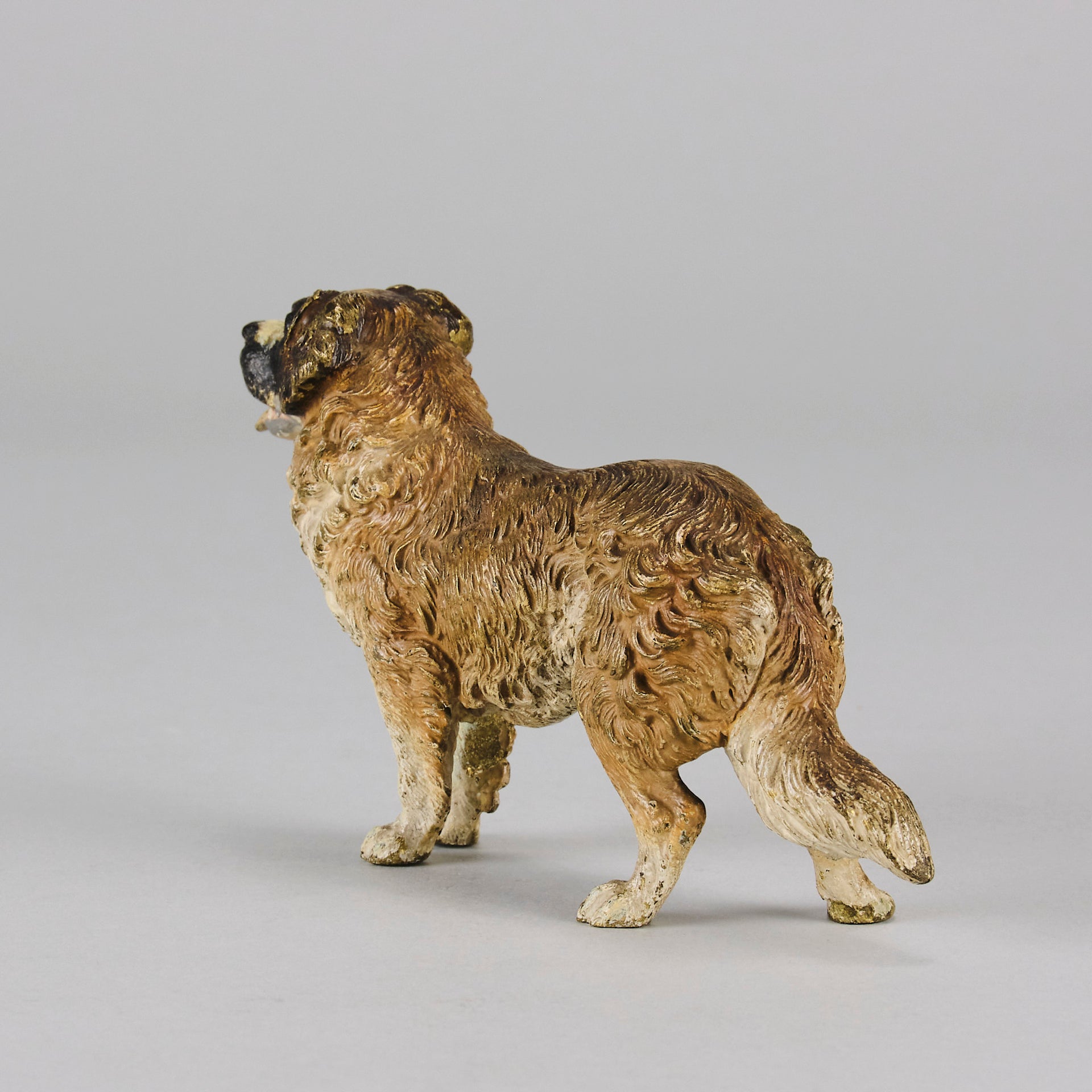 Bergman St Bernard - Franz Bergman Bronze - Hickmet Fine Arts