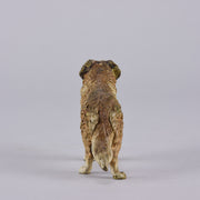 Franz Bergman Dog - Austrian Bronze - Hickmet Fine Arts
