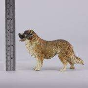 Franz Bergman Dog - Austrian Bronze - Hickmet Fine Arts