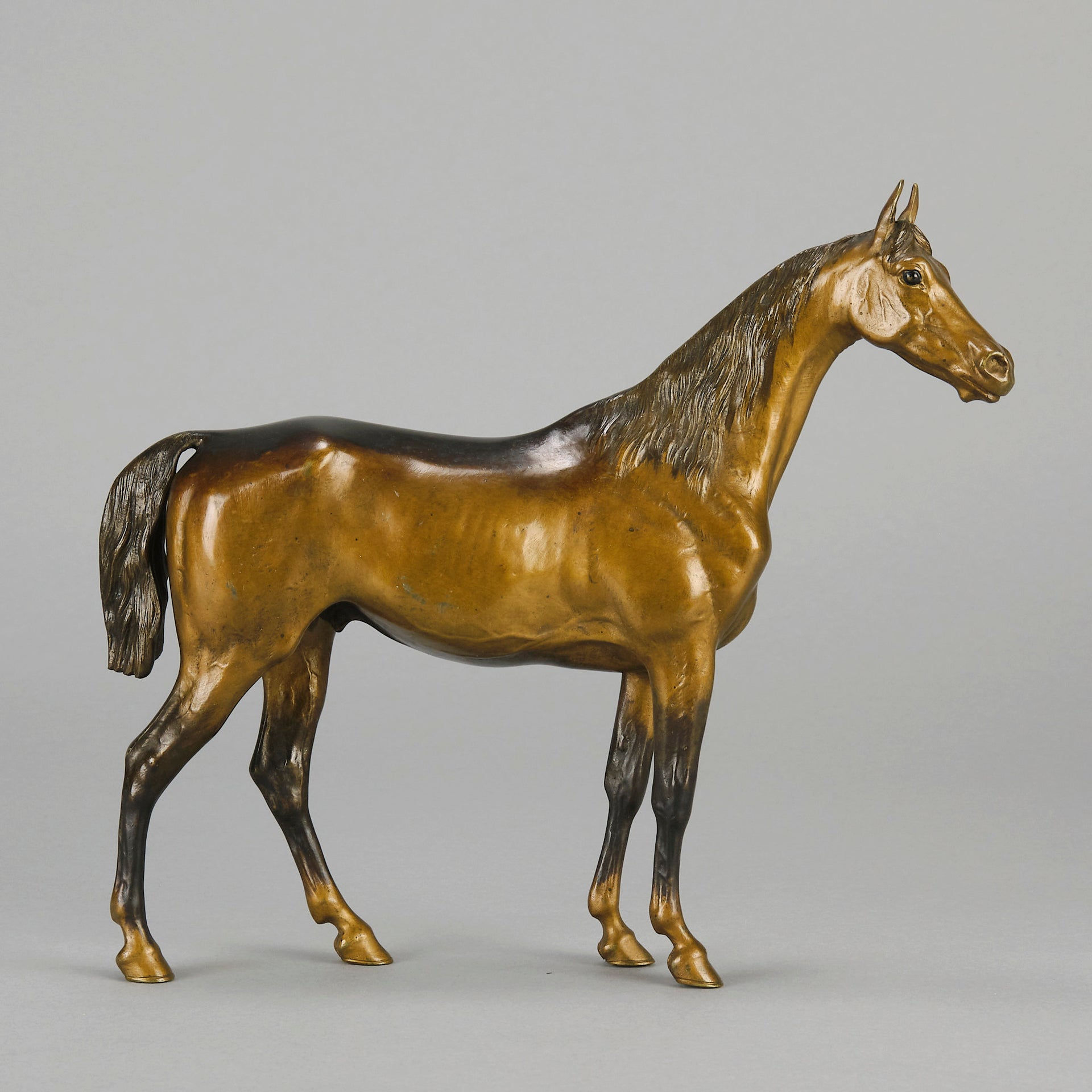 Standing Horse early 20th Century Austrian bronze study of a standing stallion by Franz Bergman - Hickmet Fine Arts