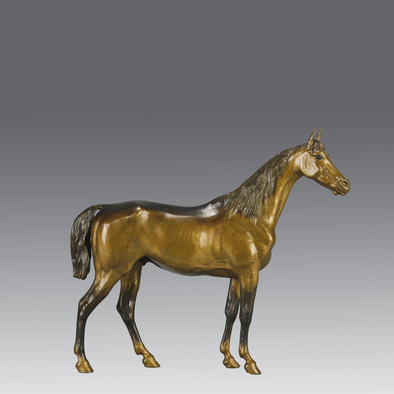 Standing Horse early 20th Century Austrian bronze study of a standing stallion by Franz Bergman - Hickmet Fine Arts
