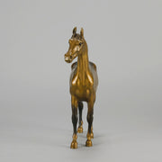 Standing Horse early 20th Century Austrian bronze study of a standing stallion by Franz Bergman - Hickmet Fine Arts