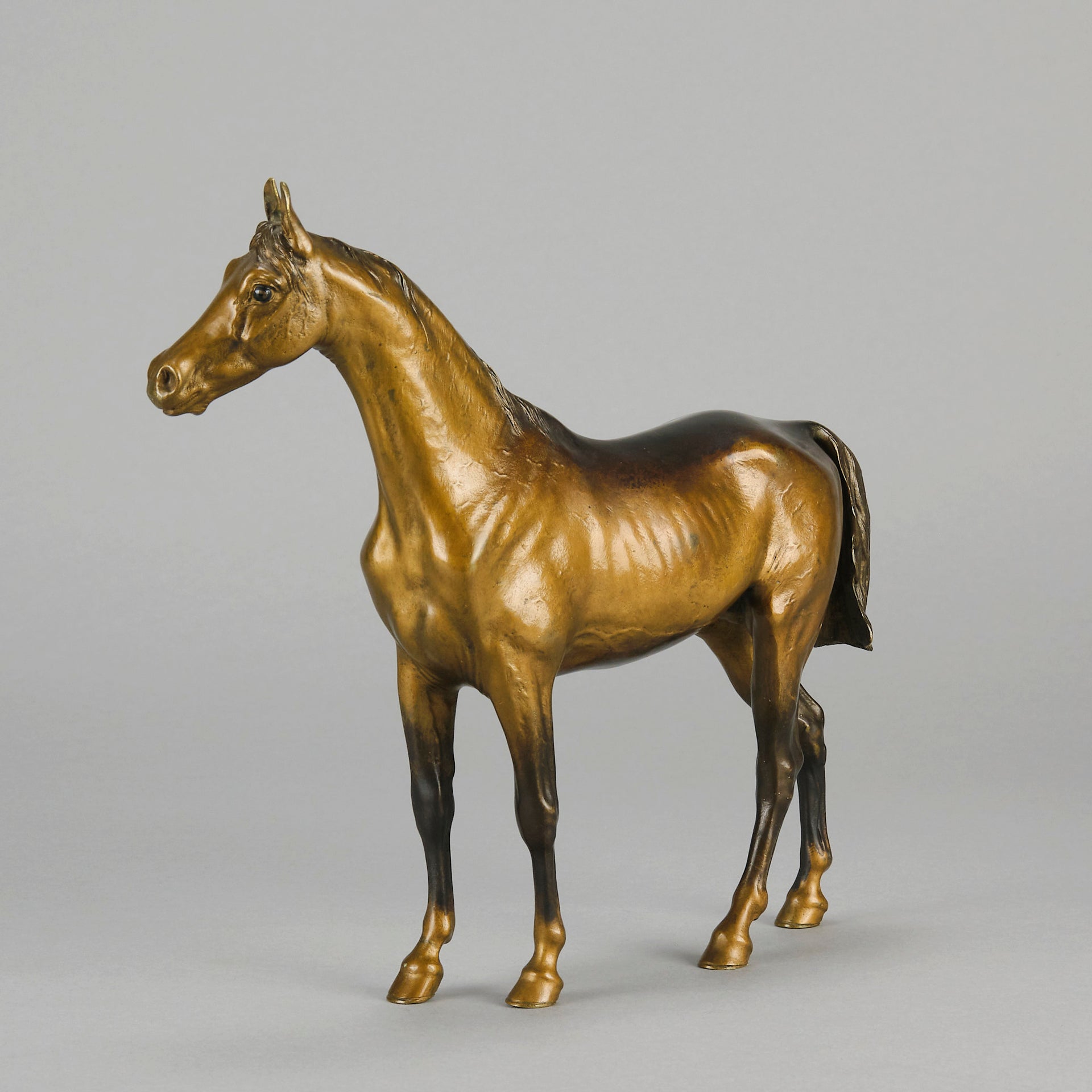 Standing Horse early 20th Century Austrian bronze study of a standing stallion by Franz Bergman - Hickmet Fine Arts