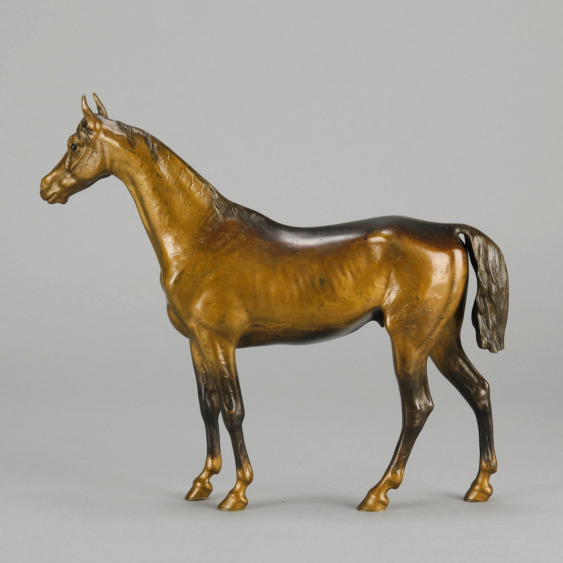Standing Horse early 20th Century Austrian bronze study of a standing stallion by Franz Bergman - Hickmet Fine Arts