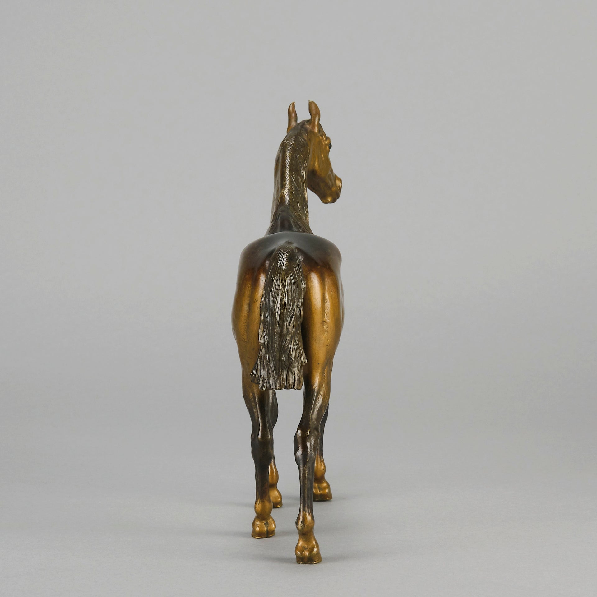 Standing Horse early 20th Century Austrian bronze study of a standing stallion by Franz Bergman - Hickmet Fine Arts